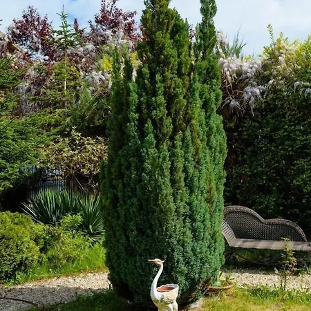 мария ревас Хотел 5*