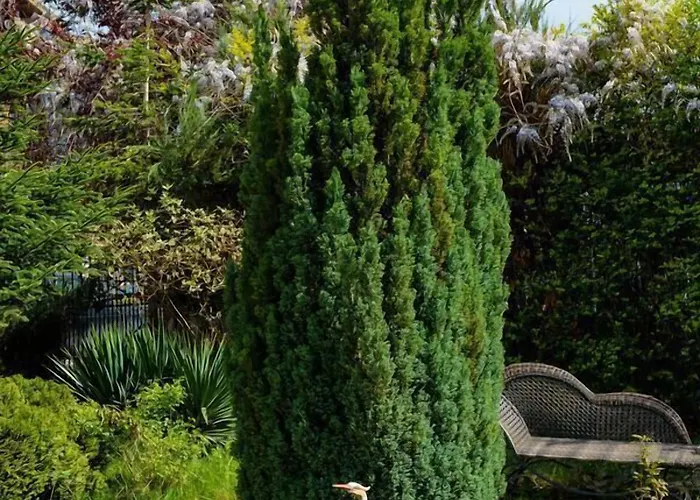 Maria Revas Hotel 5*